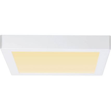 Paulmann 79801 - LED/13W Mennyezeti lámpa CARPO 230V 2300/2500/3000K