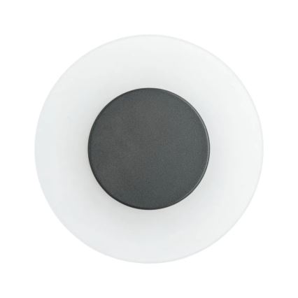 Paulmann 94409 - LED/4W IP44 Kültéri fali lámpa CIRCEA 230V