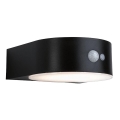 Paulmann 94570 - LED/5,5W IP44 Napelemes érzékelős fali lámpa EILEEN 3,7V 2000 mAh