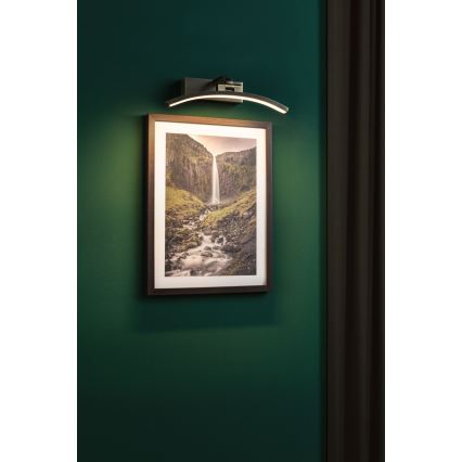 Paulmann 95559 - BENTO LED képmegvilágító, 6W, 230V, 30 cm, sárgaréz