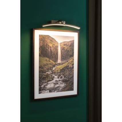 Paulmann 95560 - LED/8,5W képkivilágító lámpatest BENTO 230V 40 cm sárgaréz