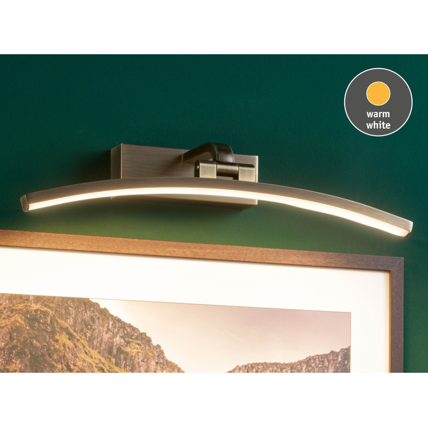 Paulmann 95560 - LED/8,5W képkivilágító lámpatest BENTO 230V 40 cm sárgaréz