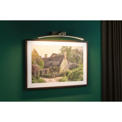 Paulmann 95561 - LED/10W képvilágító lámpa BENTO 230V 50 cm sárgaréz