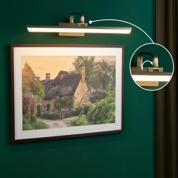 Paulmann 95570 - LED/11W Képvilágító lámpa RENAN 230V 60 cm sárgaréz