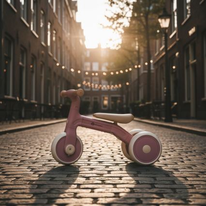 PETITE&MARS - 3 az 1-ben BINGO gyerek tricikli, Dusty Rose