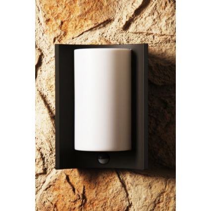 Philips 16405/93/16 - Kültéri fali lámpa MYGARDEN MEANDER 1xE27/20W/230V