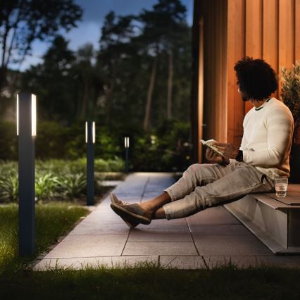Philips 16489/93/P0 - Kültéri lámpa MYGARDEN STRATOSPHERE 2xLED/4,5W