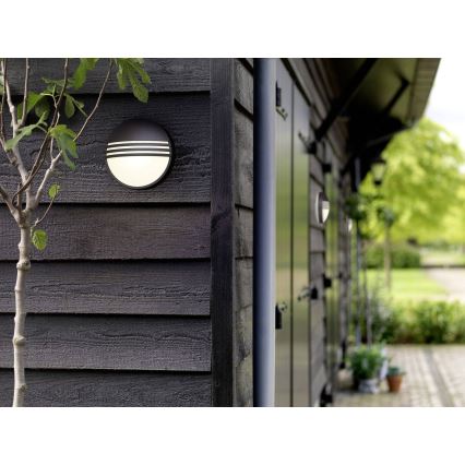 Philips 17296/30/16 - Kültéri fali lámpa MYGARDEN YARROW 1xLED/6W/230V