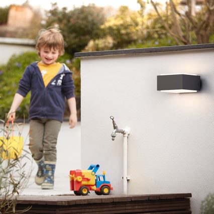 Philips 17337/93/PN - Kültéri fali lámpa MYGARDEN HEDGEHOG E27/42W