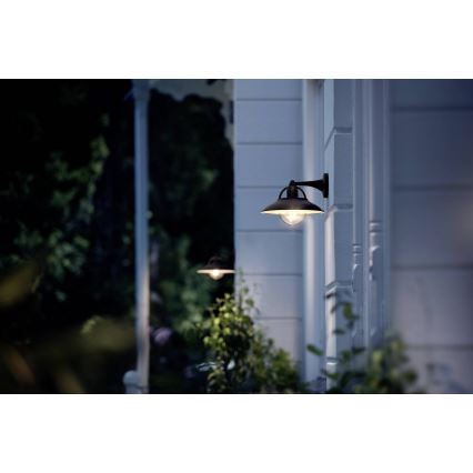 Philips 17381/30/PN - Kültéri fali lámpa COMORANT 1xE27/42W/230V IP44
