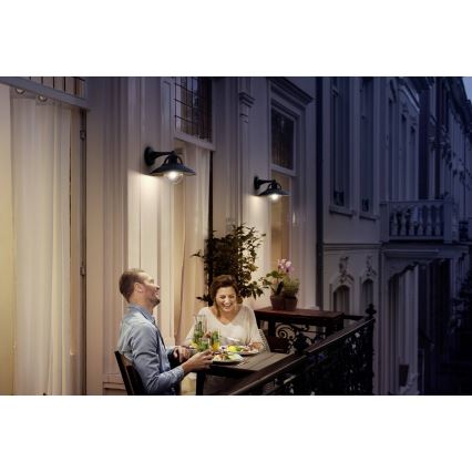 Philips 17381/30/PN - Kültéri fali lámpa COMORANT 1xE27/42W/230V IP44