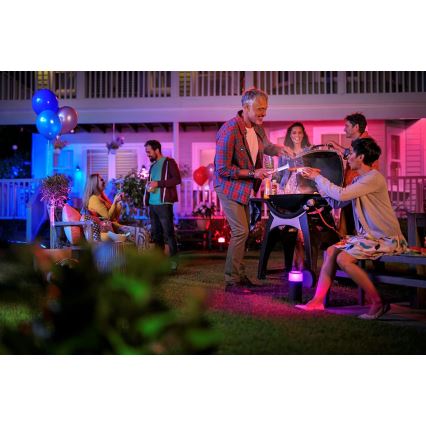 Philips 17415/30/P7 - Tartalék készlet HUE LILY LED-RGB/8W/230V IP65