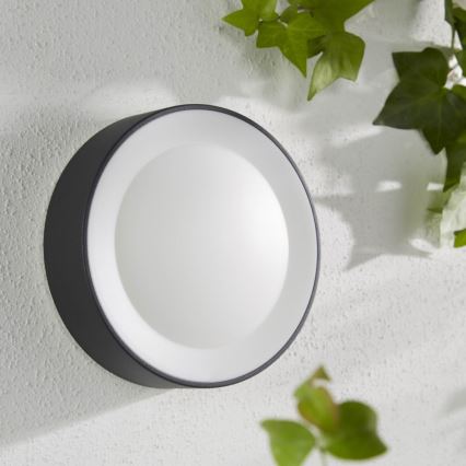 Philips - LED RGBW Dimmelhető kültéri fali lámpa Hue DAYLO LED/15W/230V 2000-6500K IP44