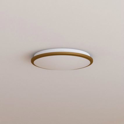Philips 30941/06/16 - LED mennyezeti lámpa MYLIVING DENIM 1xLED/7,5W/230V