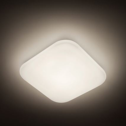 Philips 31110/31/P3 - LED mennyezeti lámpa MAUVE 1xLED/17W/230V