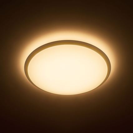 Philips 31823/31/P5 - LED mennyezeti lámpa WAWEL 1xLED/36W/230V