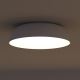 Philips 32200/31/16 - Fürdőszobai mennyezeti lámpa MYBATHROOM OCULUS 1x2GX13/40W/230V