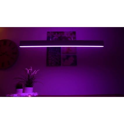 Philips -  LED RGBW Dimmelhető csillár zsinóron Hue ENSIS White And Color Ambiance 2xLED/39W/230V