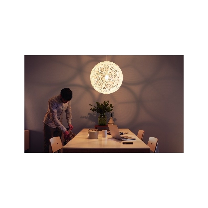 Philips 40913/31/PN - Mennyezeti függesztékes lámpa MYLIVING RING E27/60W/230V