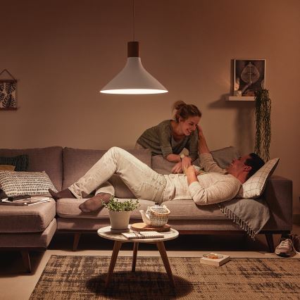 Philips 40954/31/PN - Mennyezeti függesztékes lámpa MYLIVING TUNNEL E27/60W/230V