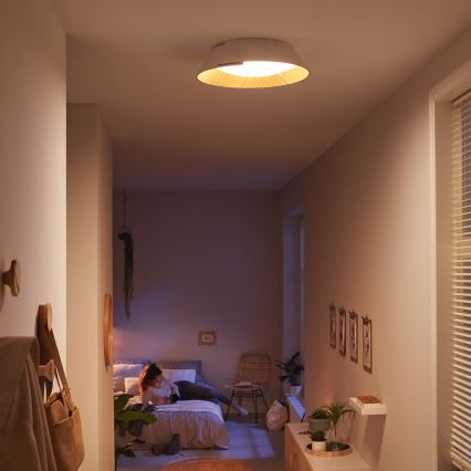 Philips 49020/31/P1 - LED Mennyezeti lámpa INSTYLE NONAGON 1xLED/10W/230V