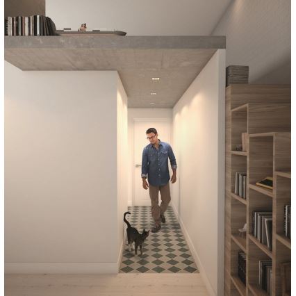 Philips  50393/11/P0 - KÉSZLET 3xLED Szabályozható lámpa SHELLBARK LED/4,5W/230V