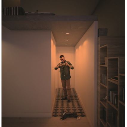 Philips  50393/11/P0 - KÉSZLET 3xLED Szabályozható lámpa SHELLBARK LED/4,5W/230V