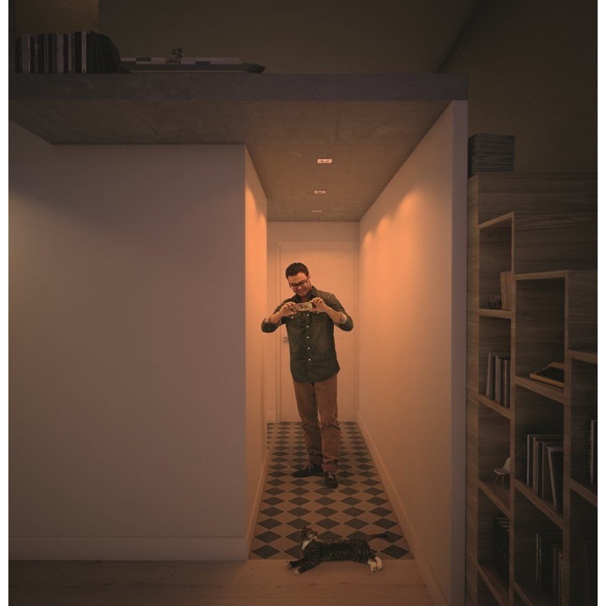 Philips  50393/11/P0 - KÉSZLET 3xLED Szabályozható lámpa SHELLBARK LED/4,5W/230V