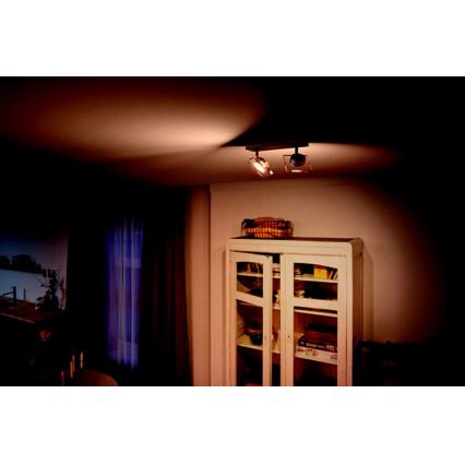 Philips 50482/17/PO - LED Spotlámpa GOLYGON 2xLED/4,5W/230V