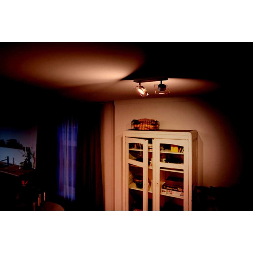 Philips 50482/17/PO - LED Spotlámpa GOLYGON 2xLED/4,5W/230V