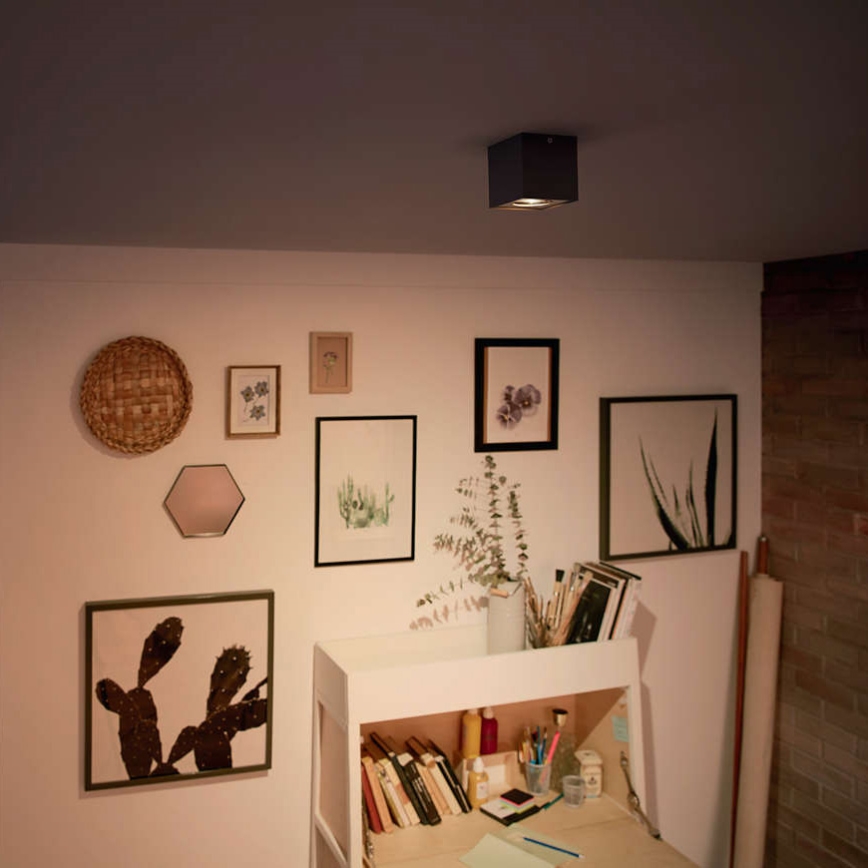 Philips 50491/30/P0 - LED spotlámpa MYLIVING BOX 1xLED/4,5W/230V