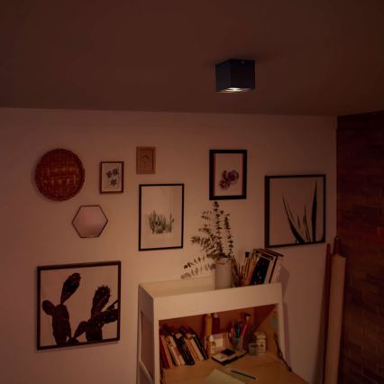 Philips 50491/30/P0 - LED spotlámpa MYLIVING BOX 1xLED/4,5W/230V