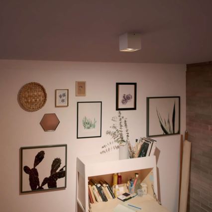 Philips 50491/31/P0 - LED spotlámpa MYLIVING BOX 1xLED/4,5W/230V