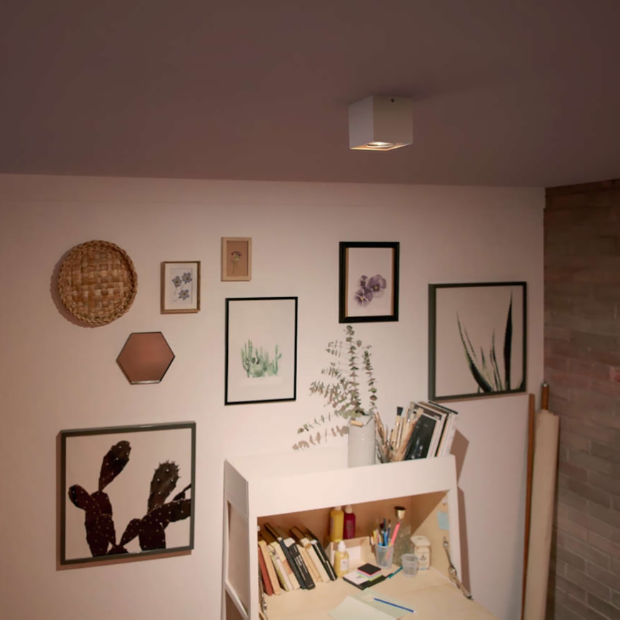 Philips 50491/31/P0 - LED spotlámpa MYLIVING BOX 1xLED/4,5W/230V