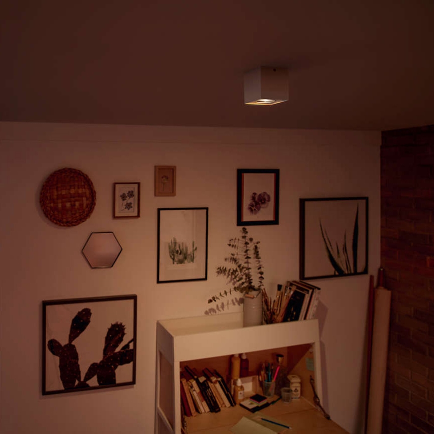 Philips 50491/31/P0 - LED spotlámpa MYLIVING BOX 1xLED/4,5W/230V