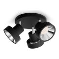 Philips 50603/30/P0 - LED Dimmelhető spotlámpa BUKKO 3xLED/4,3W/230V