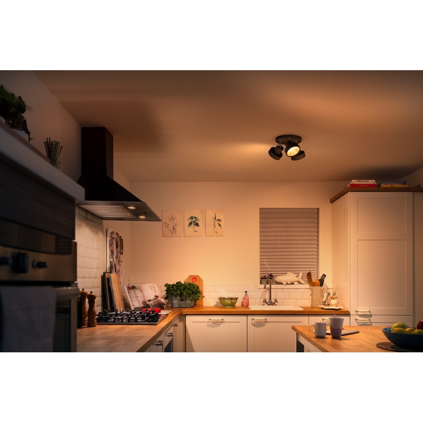 Philips 50603/30/P0 - LED Dimmelhető spotlámpa BUKKO 3xLED/4,3W/230V