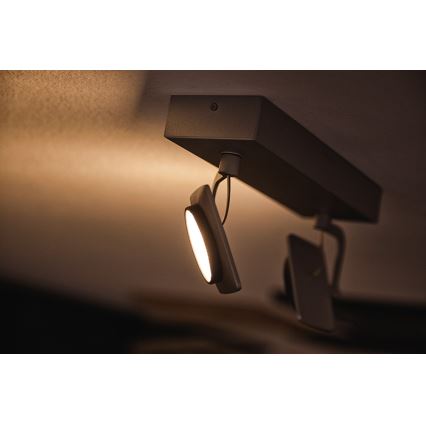 Philips 53192/48/P0 - LED Spotlámpa MILLENNIUM 2xLED/4,5W/230V