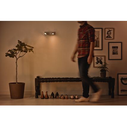 Philips 53192/48/P0 - LED Spotlámpa MILLENNIUM 2xLED/4,5W/230V