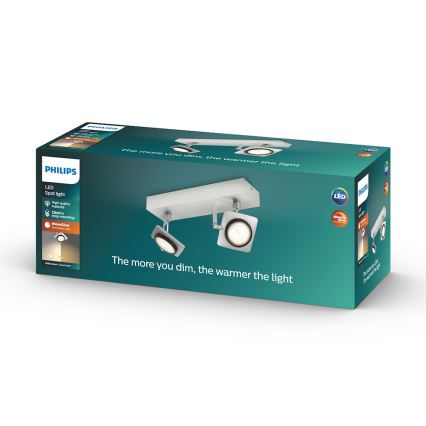 Philips 53192/48/P0 - LED Spotlámpa MILLENNIUM 2xLED/4,5W/230V