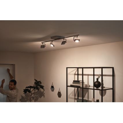 Philips 53194/48/P0 - LED Spotlámpa MILLENNIUM 4xLED/4,5W/230V