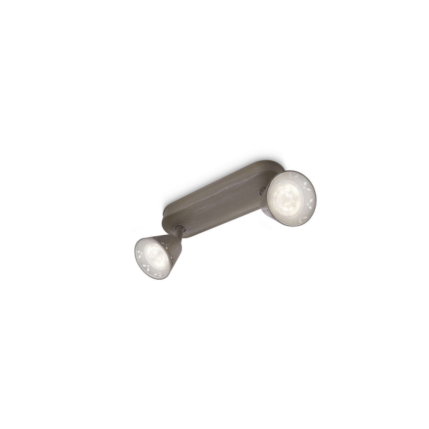 Philips 53252/26/16 - LED spotlámpa MYLIVING IDYLLIC 2xLED SMD/4W/230V