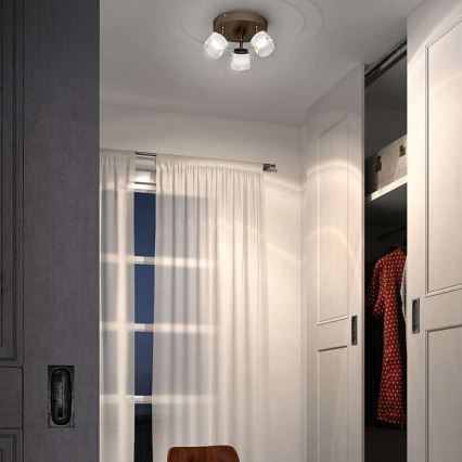 Philips 53333/06/16 - LED spotlámpa FREMONT 3xLED/4W/230V