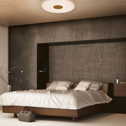 Philips 61083/31/P5 - LED Dmmelhető mennyezeti lámpa HARAZ LED/30W/230V