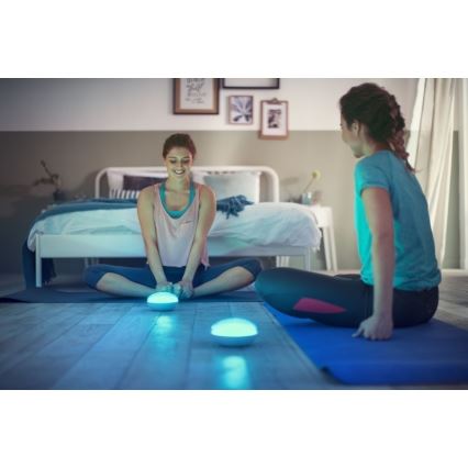 Philips 70104/31/P0 - LED Szabályozható hordozható lámpa CAMELLIA LED/3W