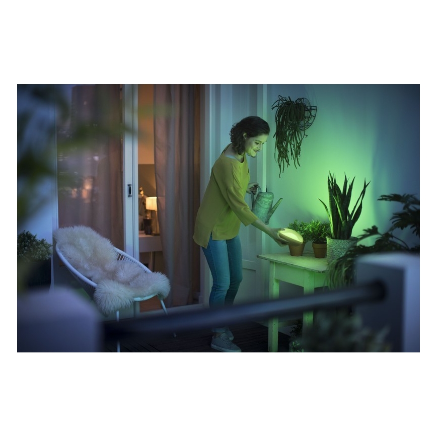 Philips 70104/31/P0 - LED Szabályozható hordozható lámpa CAMELLIA LED/3W