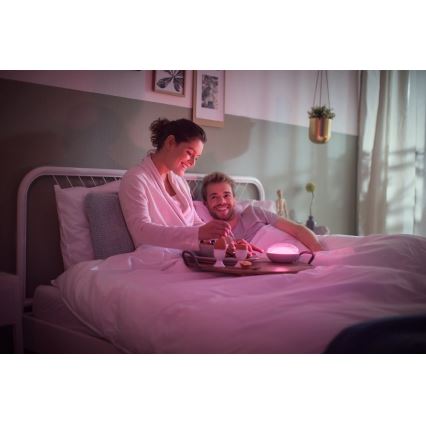 Philips 70104/31/P0 - LED Szabályozható hordozható lámpa CAMELLIA LED/3W