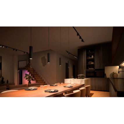 Philips - PERIFO LED RGB fényerőszabályozható, kábellel függeszthető függeszték a Hue sínrendszerhez LED RGB/5,2W/24V 2000-6500K