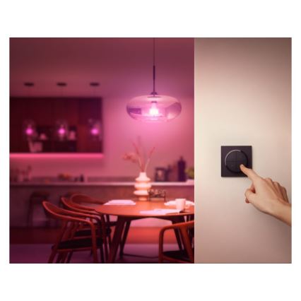 Philips - Hue TAP távirányító kapcsolóval 1xCR2032 fekete