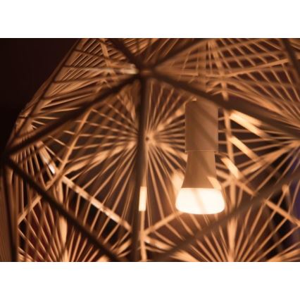 Philips Hue WHITE AMBIANCE alapkészlet 2×E27/8W/230V + Hue Bridge és fényerőszabályzó kapcsoló